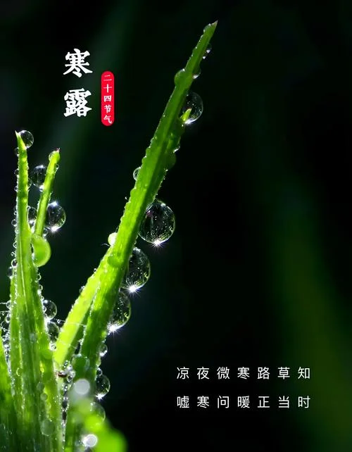 寒露这天出生的女孩叫什么名字-寒露生女名