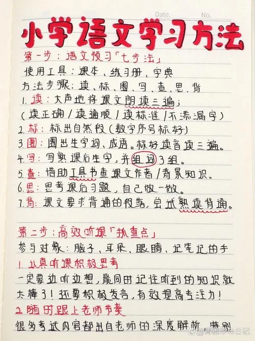 小学生怎样提高语文成绩_1