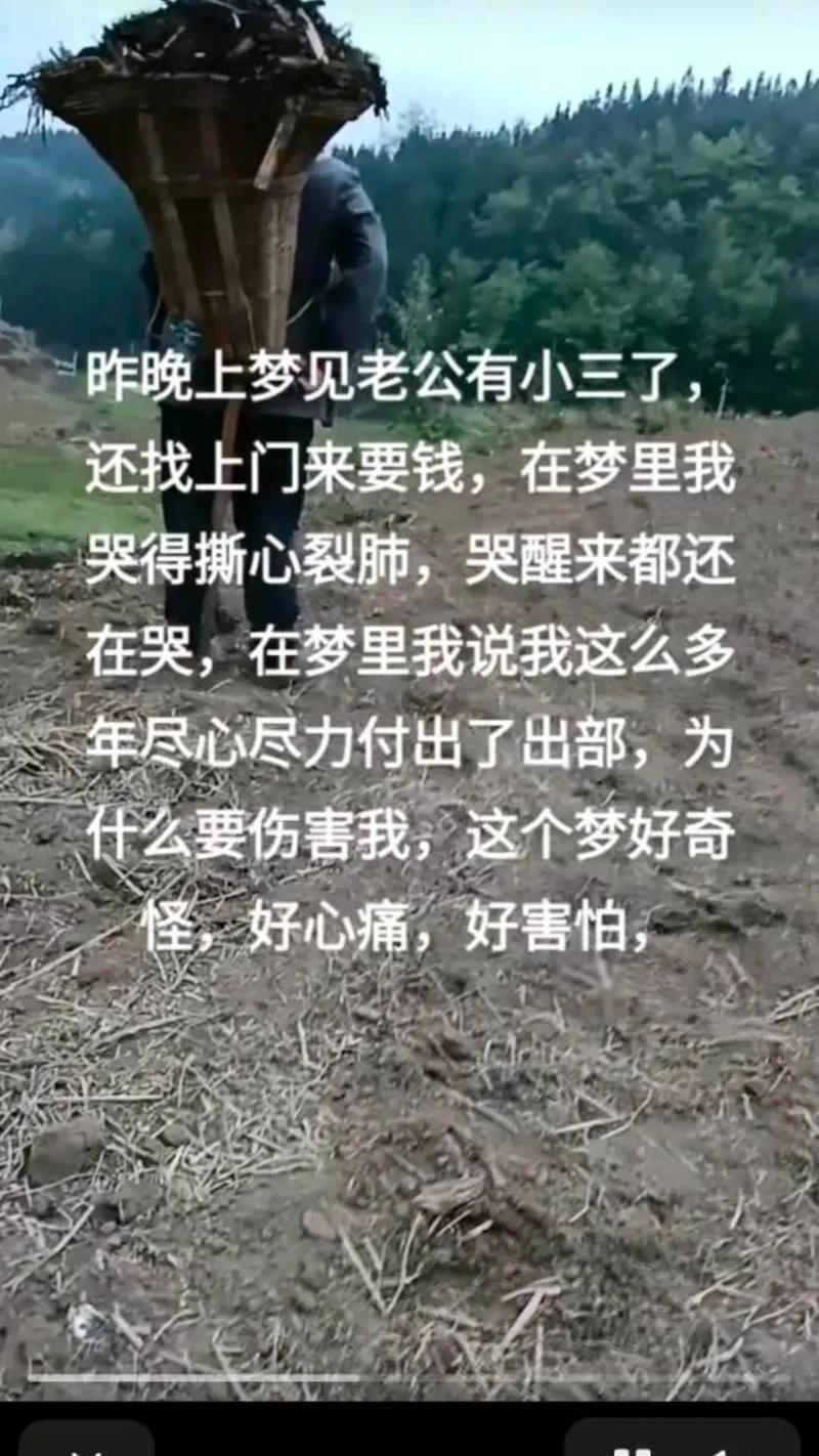 睡觉梦见老公有小三-梦老公出轨
