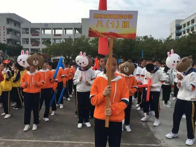 惠州河南岸中学好不好_2