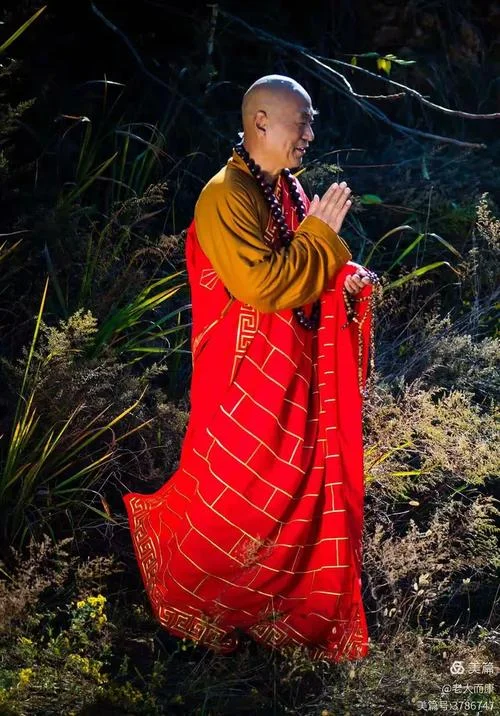 梦见僧人肉身-梦遇高僧真身