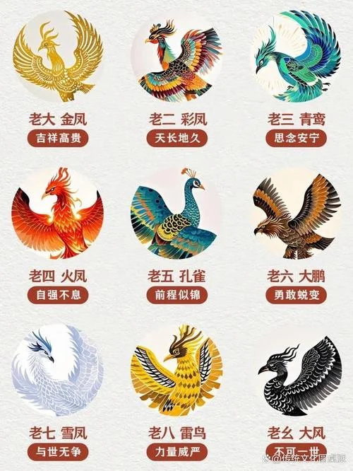 凤凰男什么意思和含义-凤凰男含义