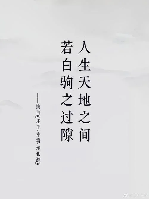 庄周感悟人生经典句子-庄周人生感悟经典句