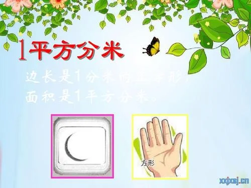 58平方分米等于多少平方米_2