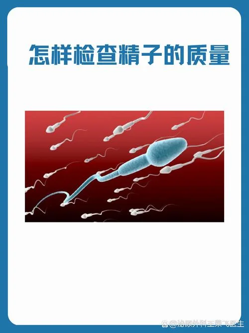 如何查精液_2