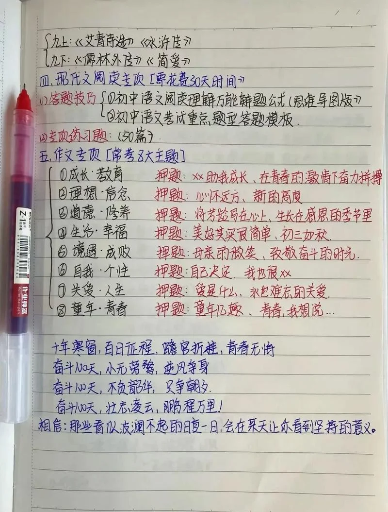 初中生怎么提高语文成绩_1