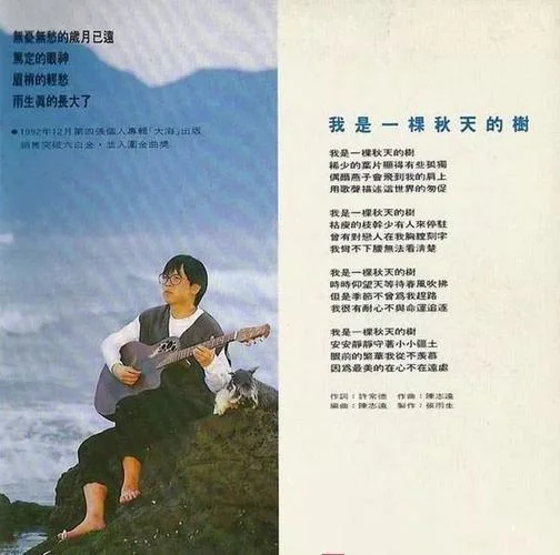 飞鸟与鱼歌词是谁写的_2