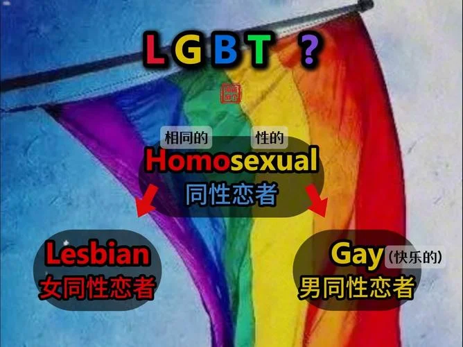 女同性恋用英语怎么写_2