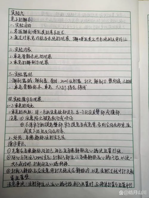 演示实验报告心得体会-演示实验报告心得