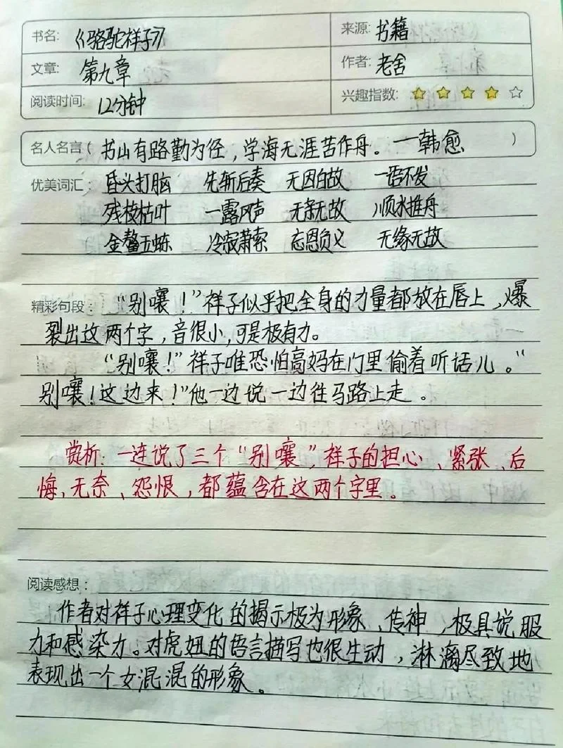 骆驼祥子的好句摘抄及感悟_1