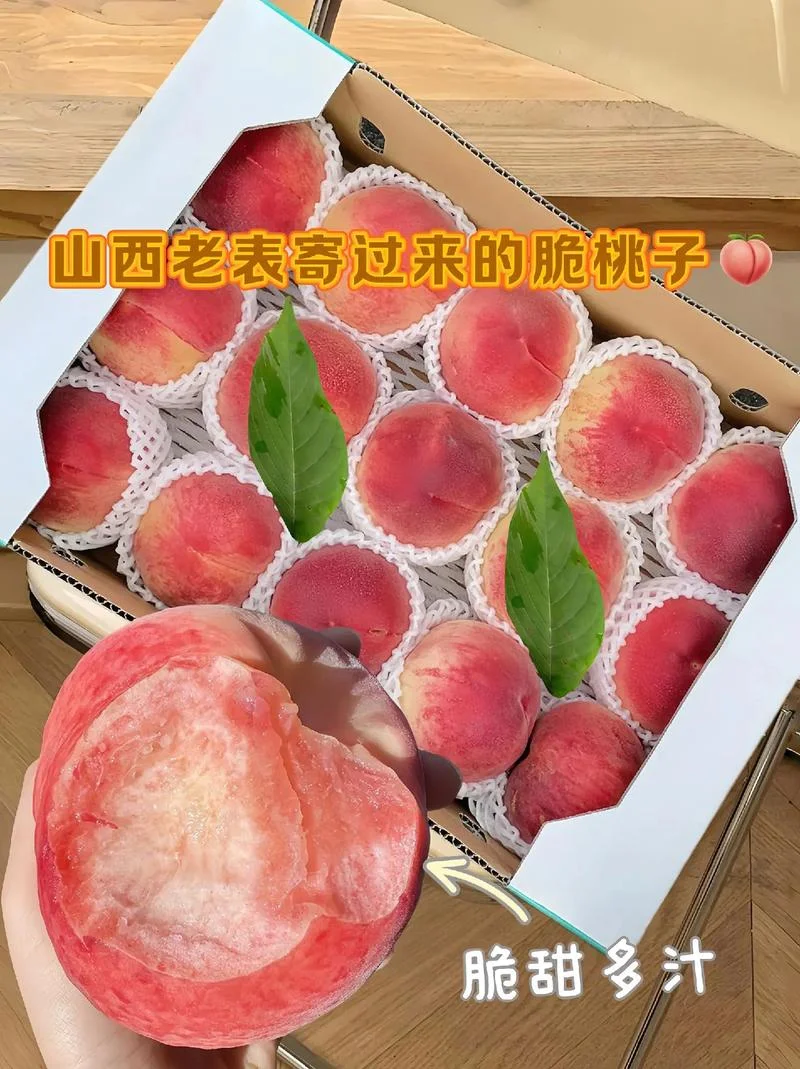 山西留学生桃子-山西留洋桃
