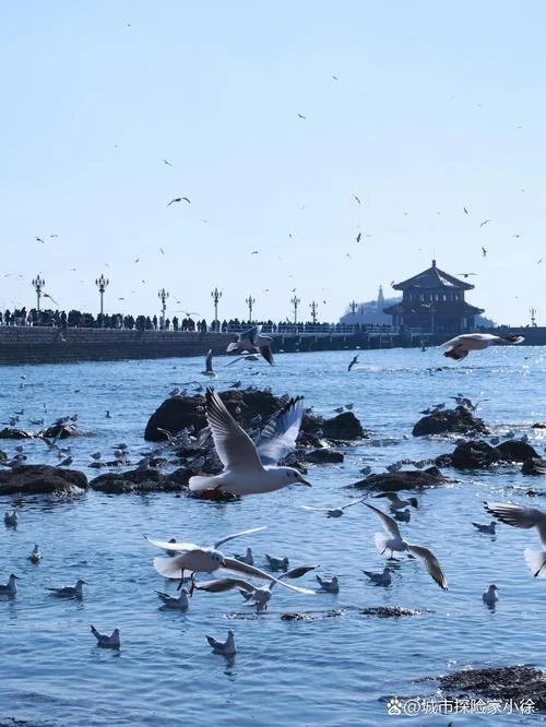 青岛景点照片_1