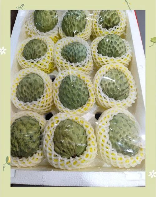 黄色释迦果叫什么_1