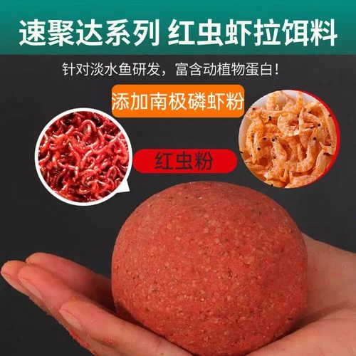 钓鲤鱼红虫饵怎么用_1