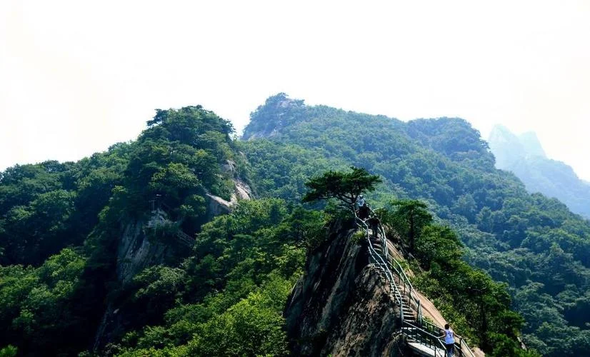 临沂沂源旅游景点大全_1