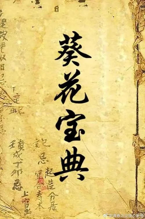 葵花宝典辟邪剑法出处_2