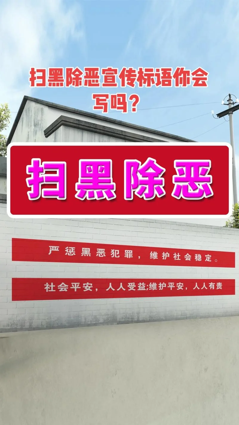 扫黑除恶 项目建设_2