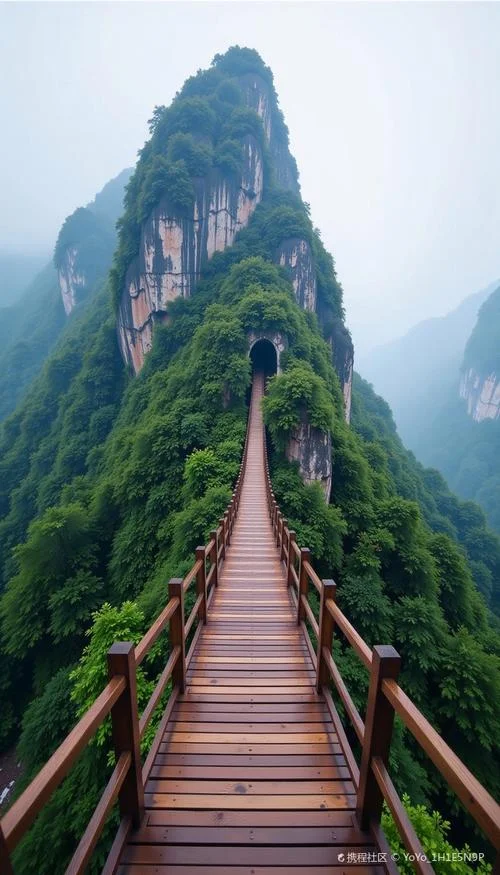 张家界旅游攻略自由-张家界自由行攻略