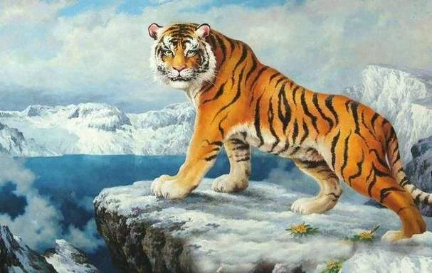 周公解梦大全免费解梦梦见老虎_1