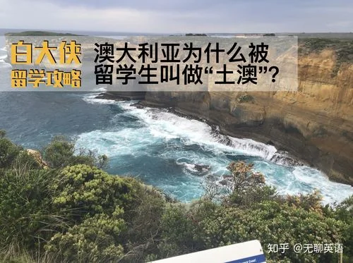 为什么不要去澳洲留学_2