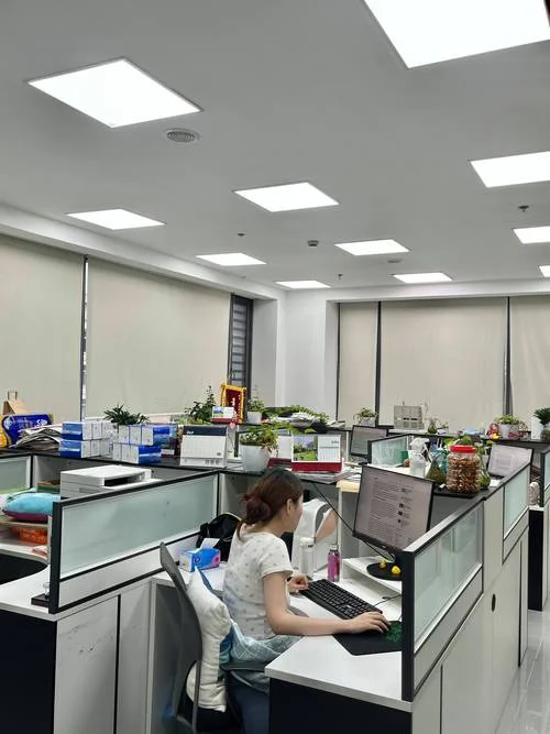 邯郸留学咨询_2