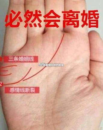 男左女右手相图解-