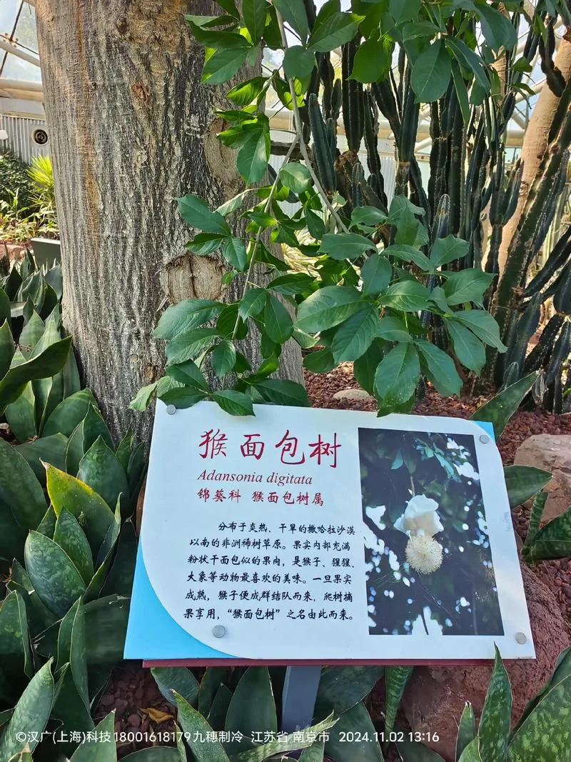 中科院植物所考研-中科院植物所考研