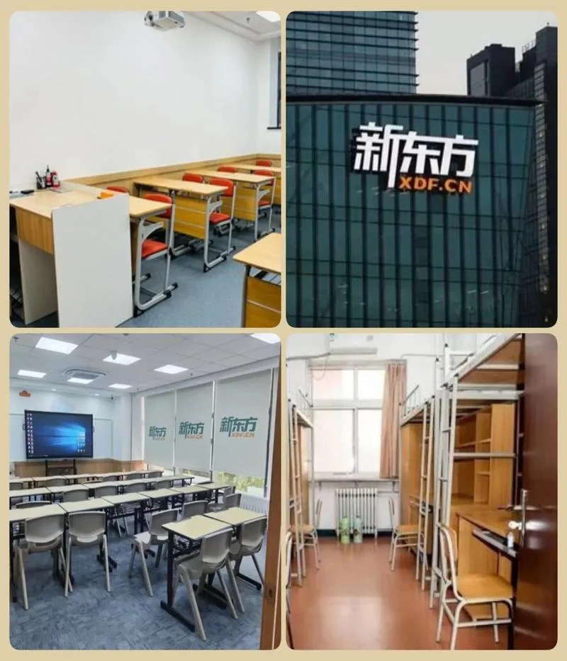 北京新东方考研集训营怎么样-北京新东方考研集训营评价