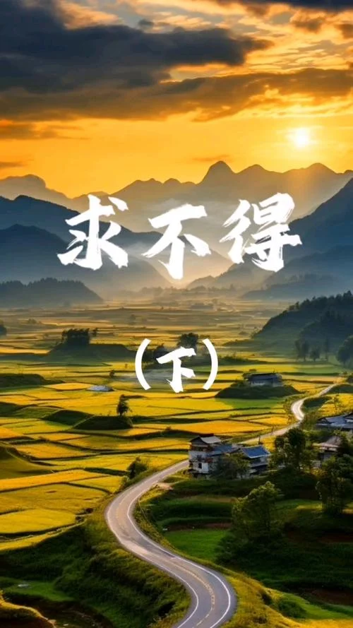 求而不得的下一句话_1
