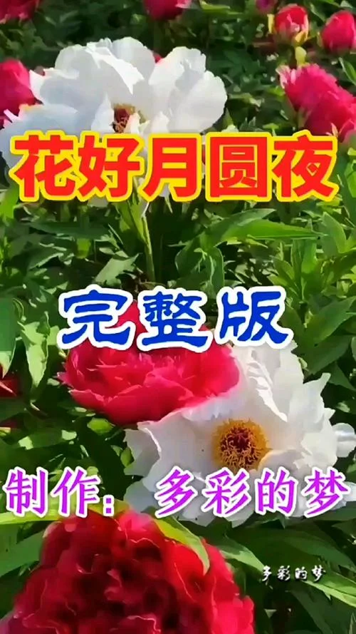 花好月圆出处_2
