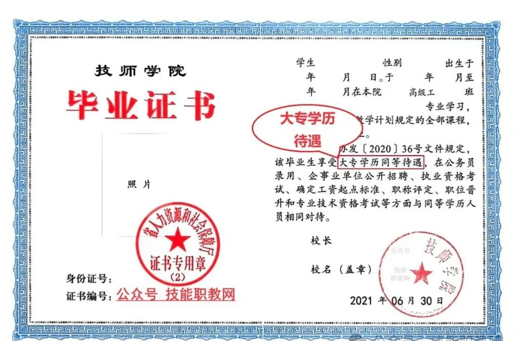 本科证书编号网上查询_1