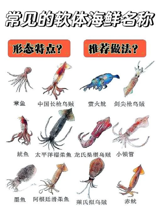 海鲜产品起名字大全集_1