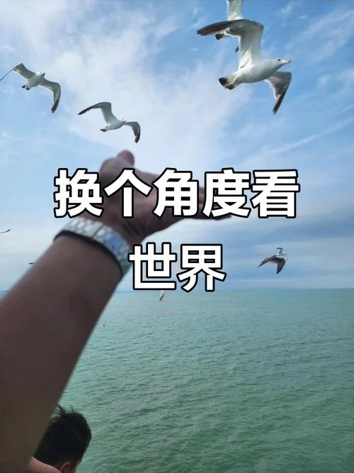 不一样的世界,下一句_2