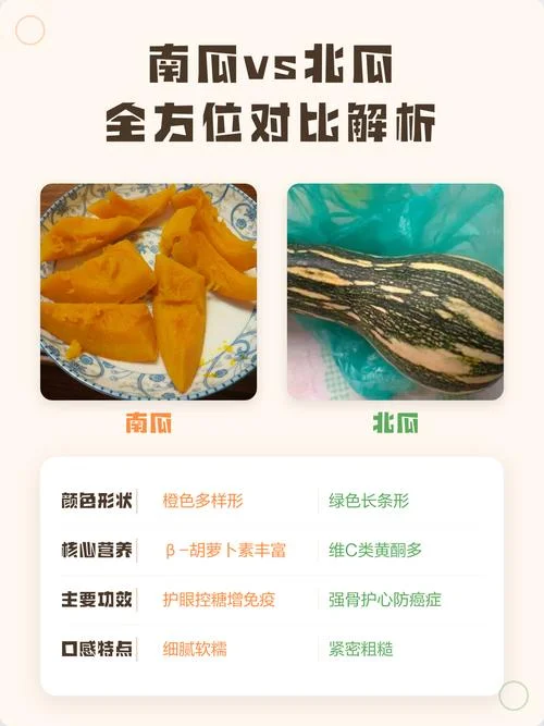 什么是北瓜_1