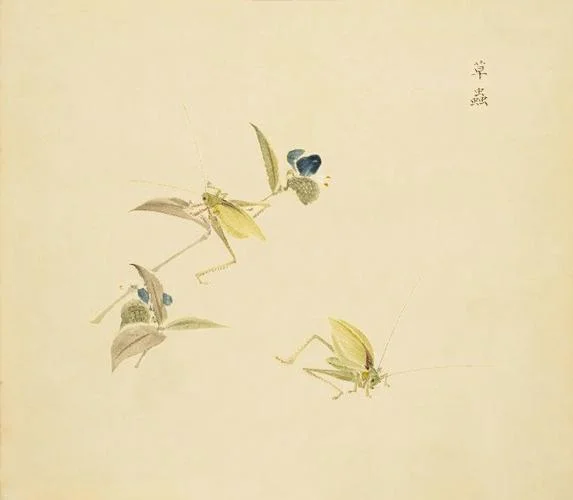我心则夷出自哪里_2
