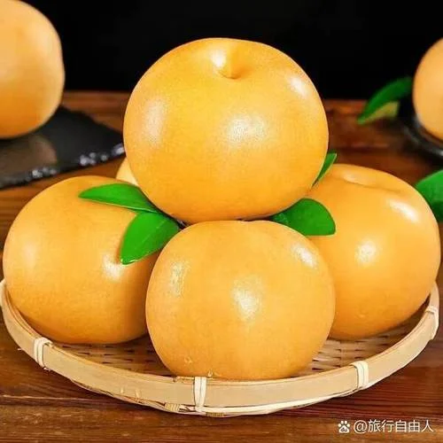 梦见买梨子吃_2