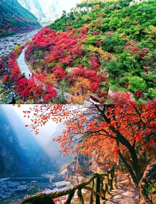 十一西安周边游_1