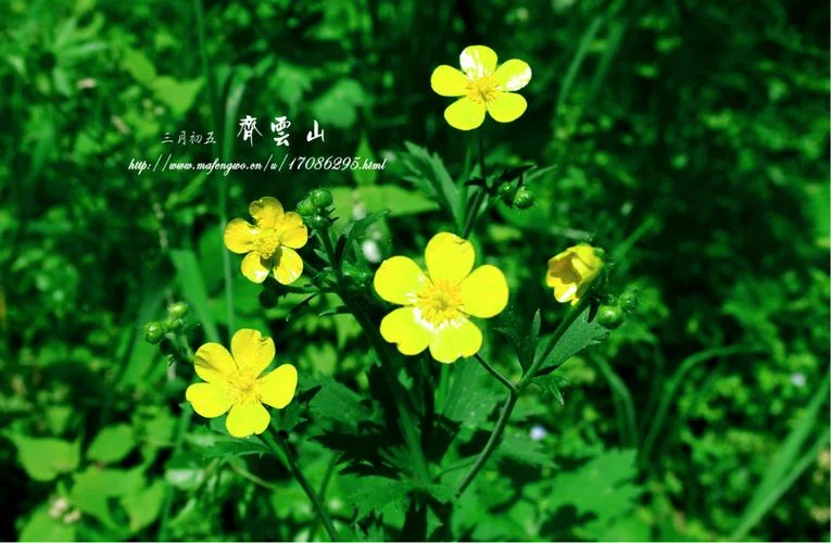 梦见山滩_2