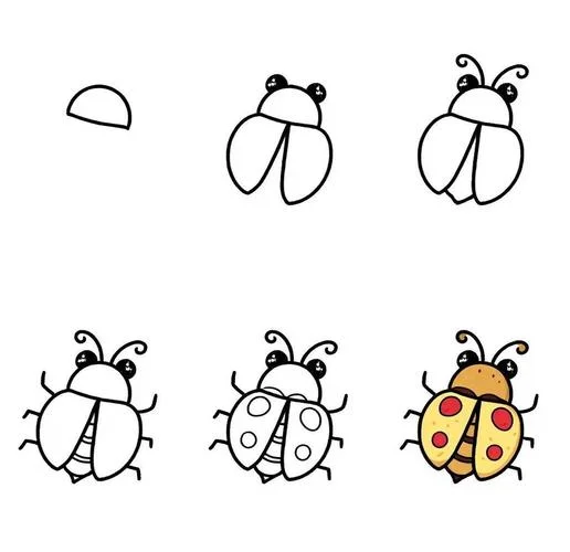 昆虫记简笔画昆虫_1
