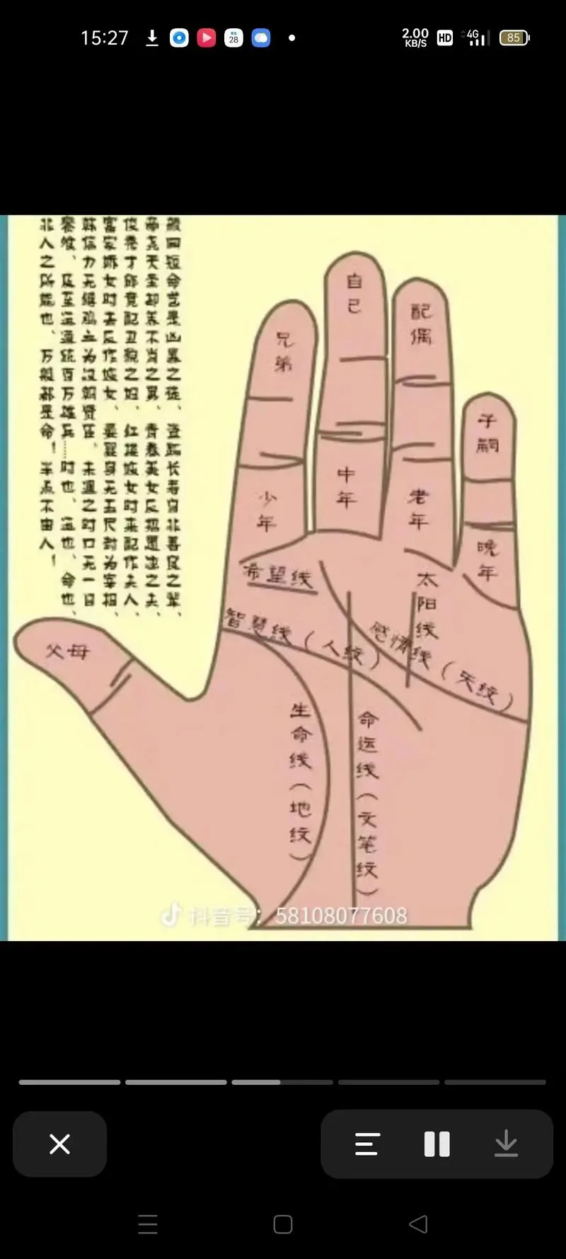 看手相男生哪只手-男生看手相用哪只手
