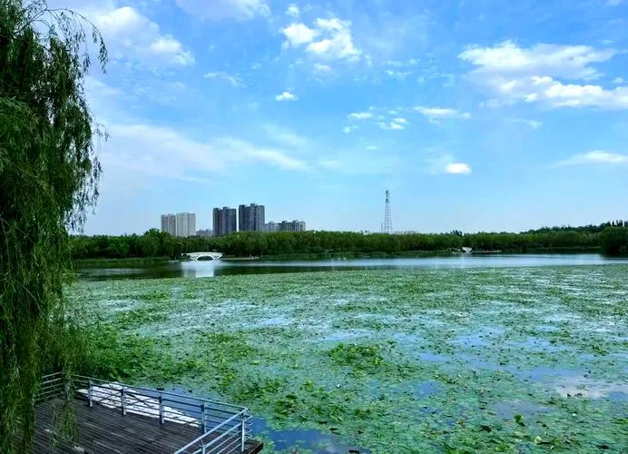 北京大兴有什么好玩的景点-北京大兴必游景点