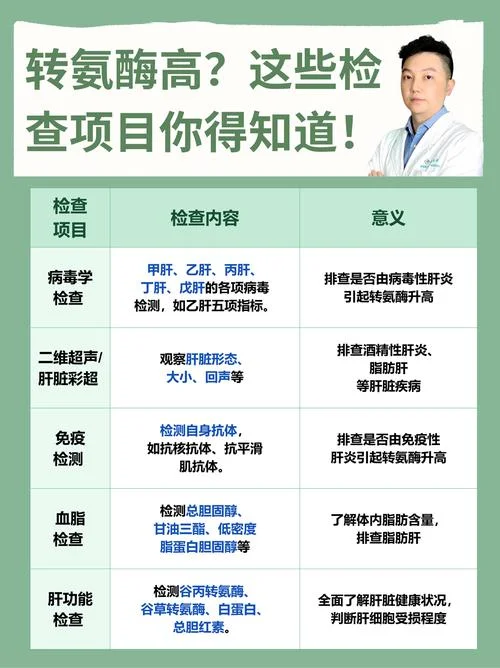 转氨酶什么意思的是_1