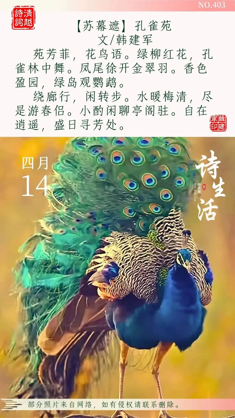 孔雀的抱怨告诉我们什么道理_2