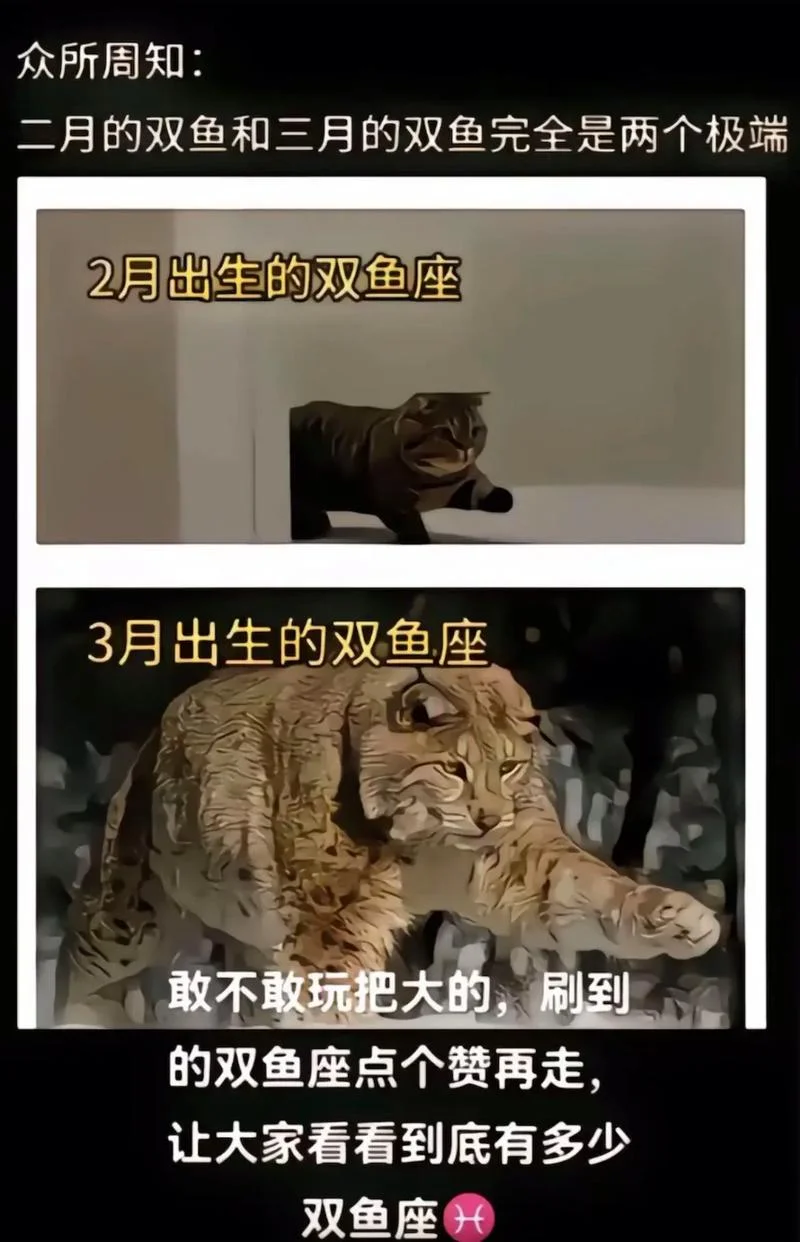93年双鱼座是几月的-93 双鱼几月
