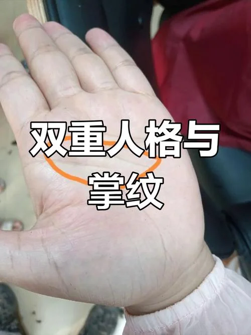 手相智慧线交叉_1