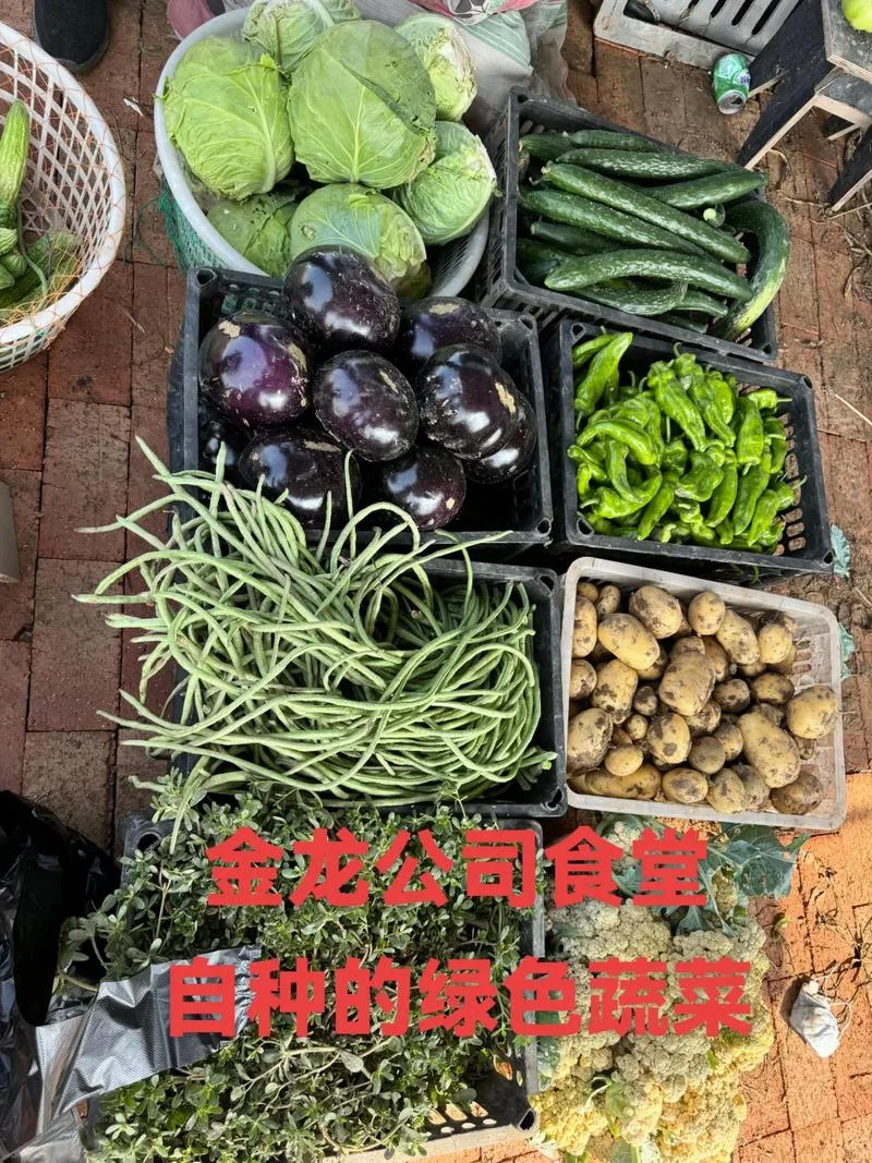 绿色蔬菜公司起名-绿色蔬菜公司命名