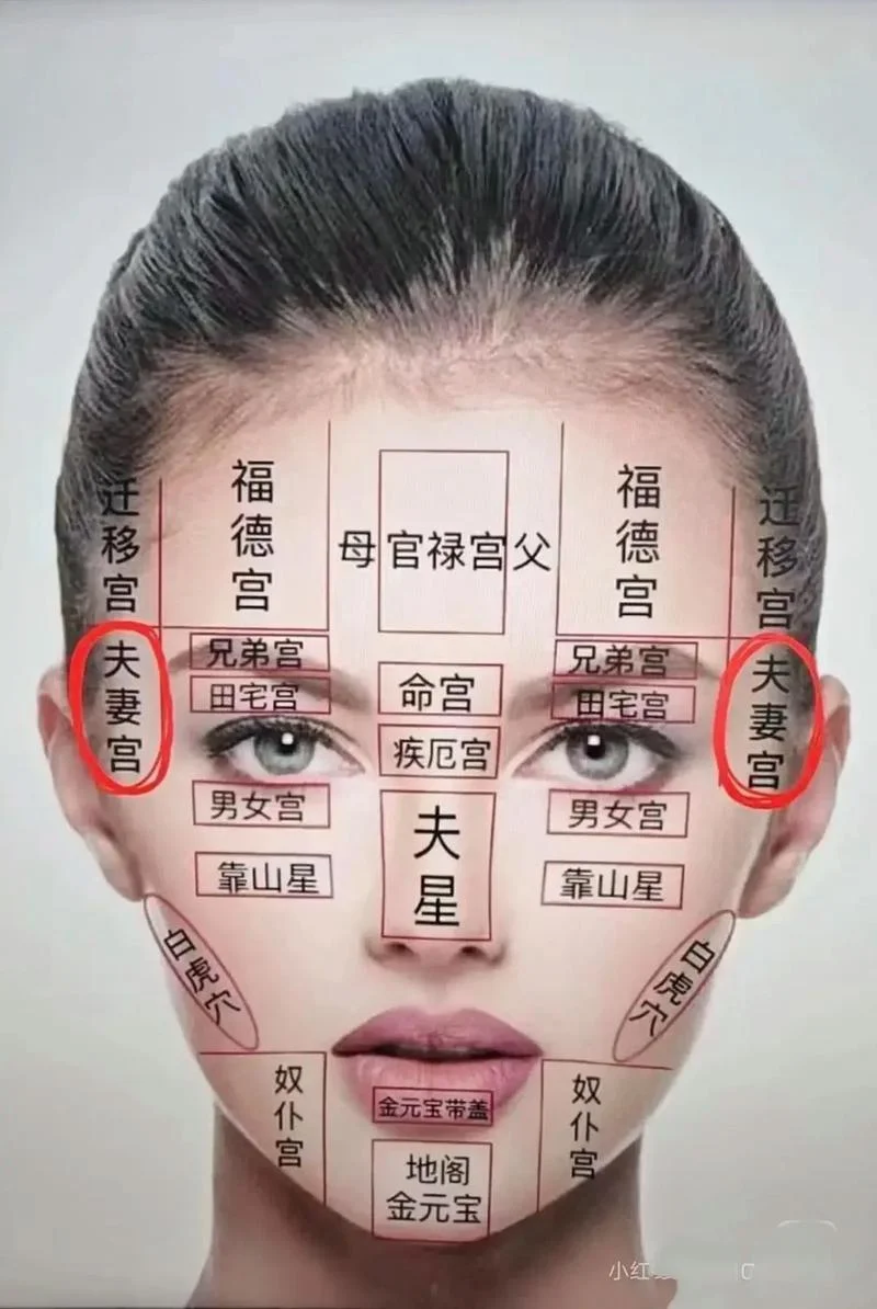 面相学测试-面相测试