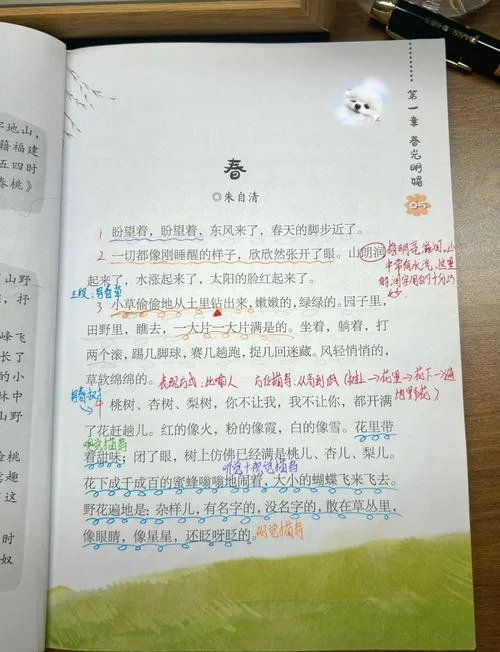 春归何处的作者是谁_2