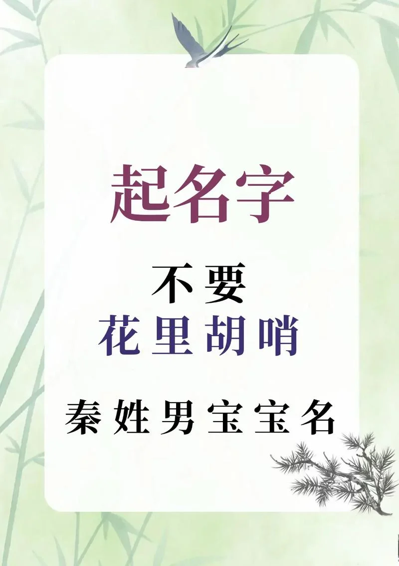 秦姓男孩起名大全_2