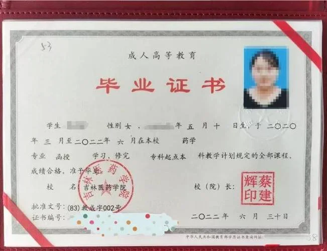 毕业证书电子版哪里查_1